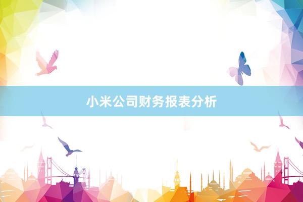 小米公司财务报表分析